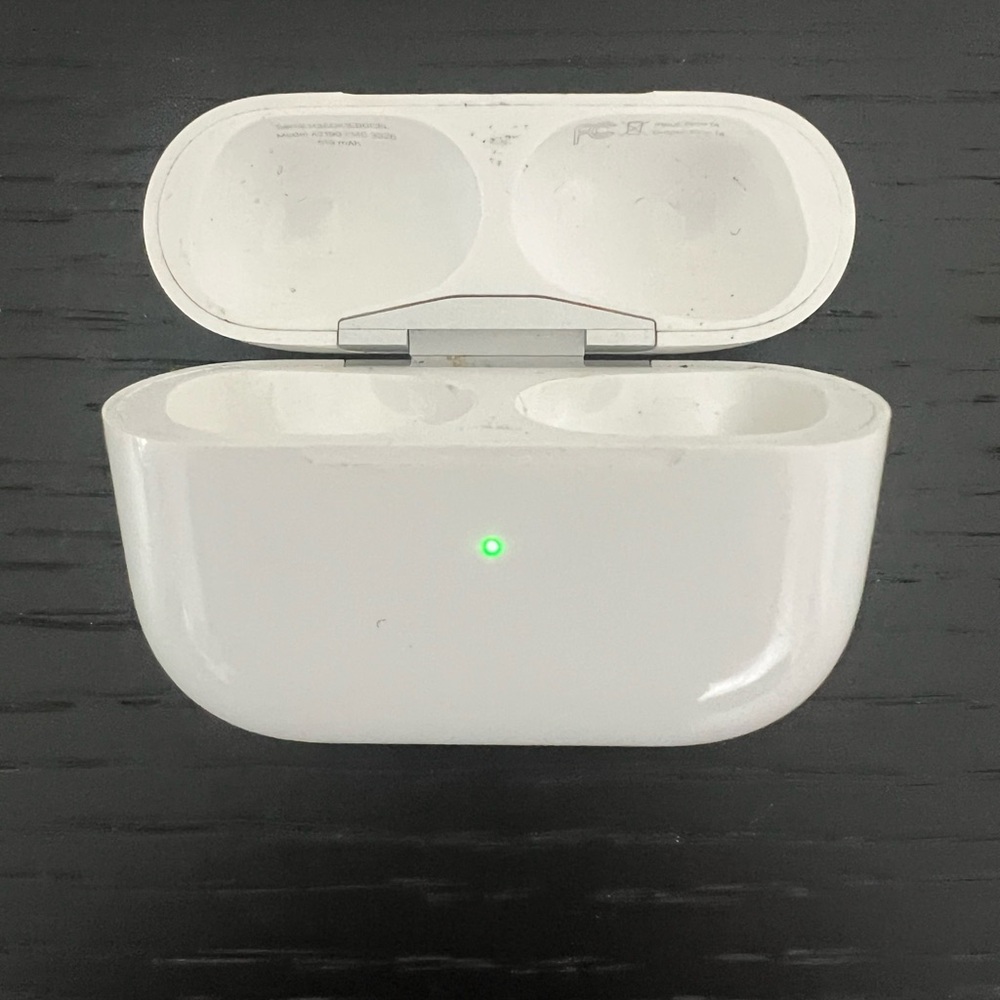 Genuine Apple AirPods Pro 1st Generation Charging Case (A2190)